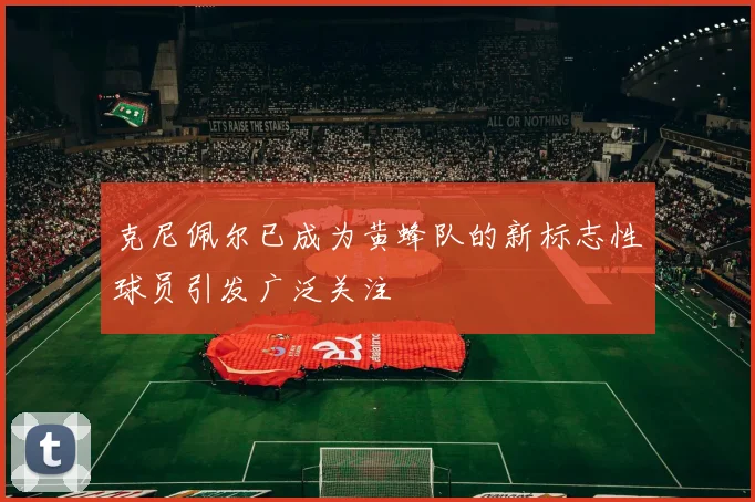 克尼佩尔已成为黄蜂队的新标志性球员引发广泛关注